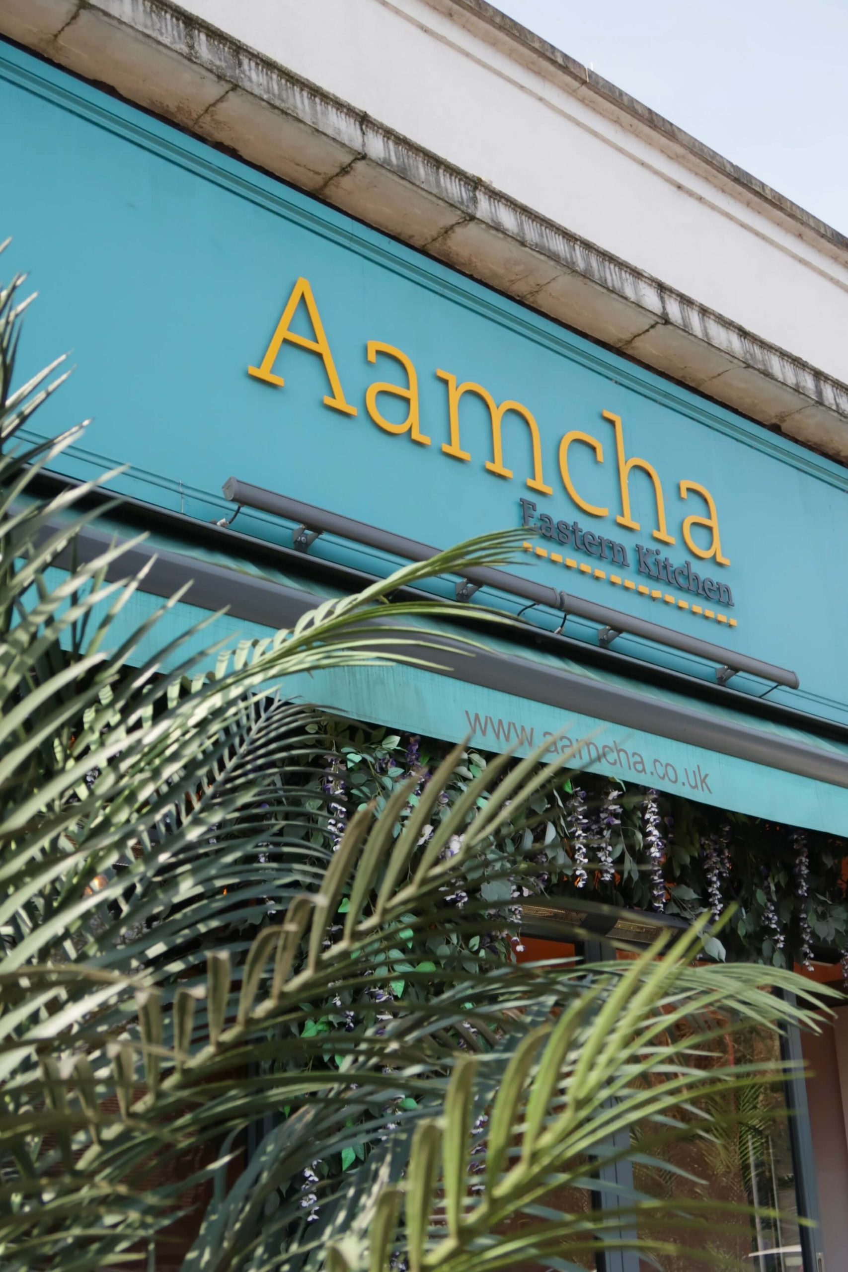 aamcha-01